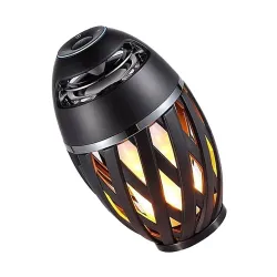 Haut-parleur Bluetooth sans fil avec lumières Led flickers