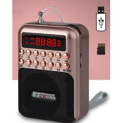 Portable - mini radio rechargeable - carte TF support - USB - lecteur MP3