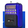 Portable - rechargeable mini radio - support TF card - USB - MP3 playerAudio